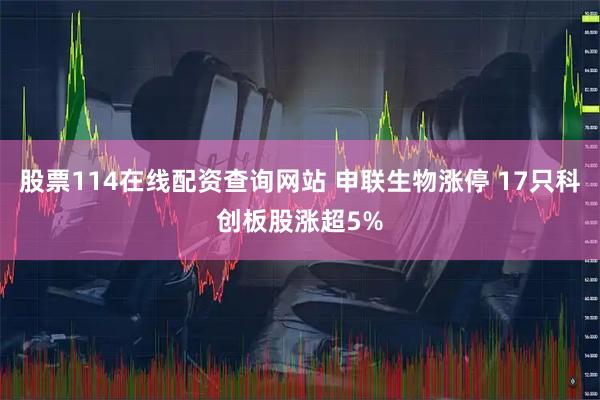 股票114在线配资查询网站 申联生物涨停 17只科创板股涨超5%