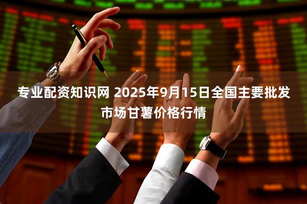 专业配资知识网 2025年9月15日全国主要批发市场甘薯价格行情