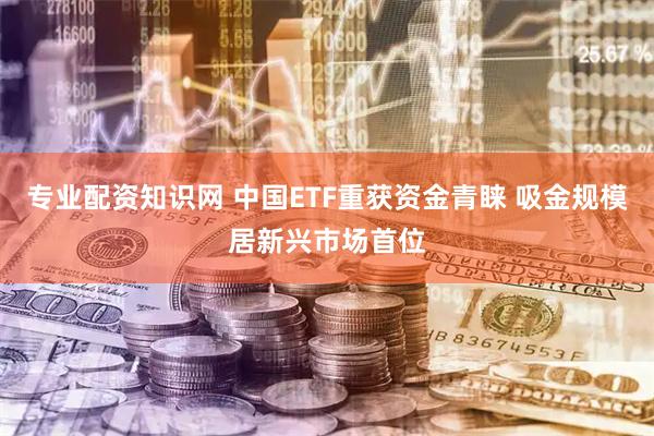 专业配资知识网 中国ETF重获资金青睐 吸金规模居新兴市场首位