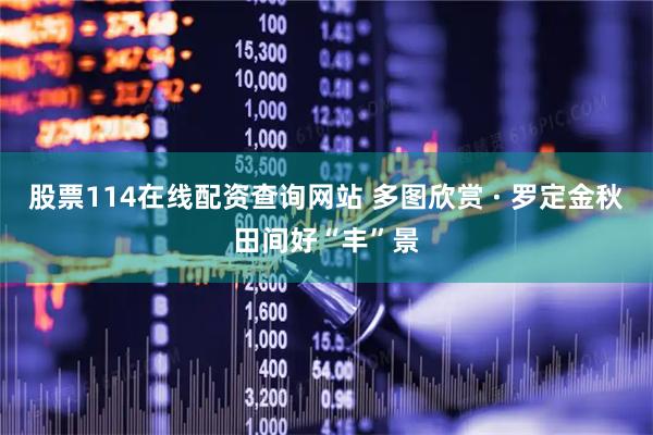 股票114在线配资查询网站 多图欣赏 · 罗定金秋田间好“丰”景