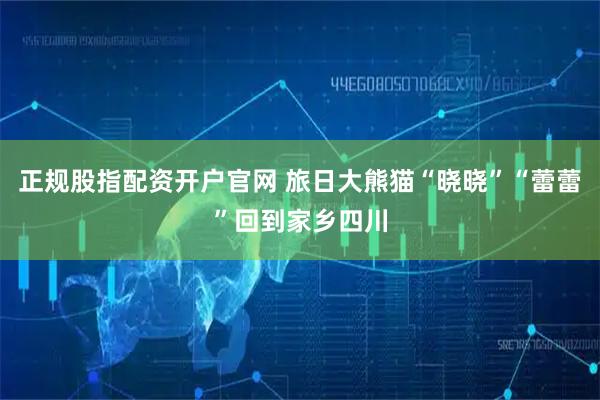 正规股指配资开户官网 旅日大熊猫“晓晓”“蕾蕾”回到家乡四川