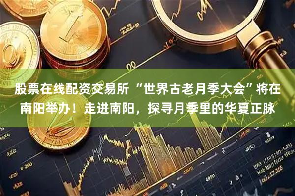 股票在线配资交易所 “世界古老月季大会”将在南阳举办！走进南阳，探寻月季里的华夏正脉