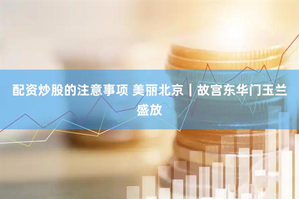 配资炒股的注意事项 美丽北京｜故宫东华门玉兰盛放