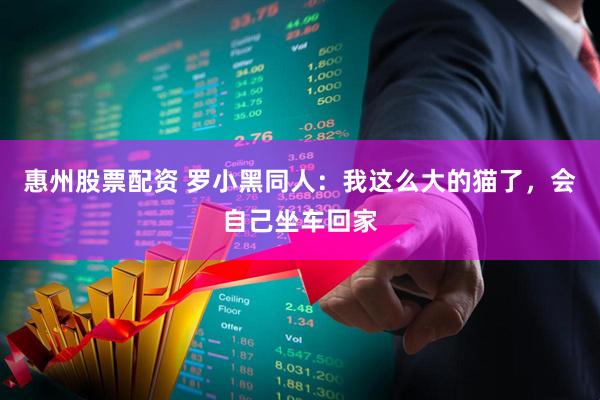 惠州股票配资 罗小黑同人：我这么大的猫了，会自己坐车回家