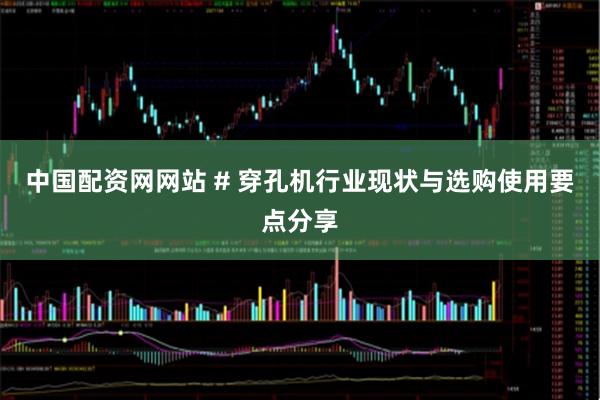 中国配资网网站 # 穿孔机行业现状与选购使用要点分享