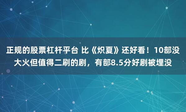 正规的股票杠杆平台 比《炽夏》还好看！10部没大火但值得二刷的剧，有部8.5分好剧被埋没