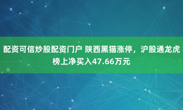 配资可信炒股配资门户 陕西黑猫涨停，沪股通龙虎榜上净买入47.66万元